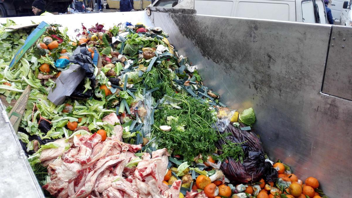 Tri à la source - biodéchets